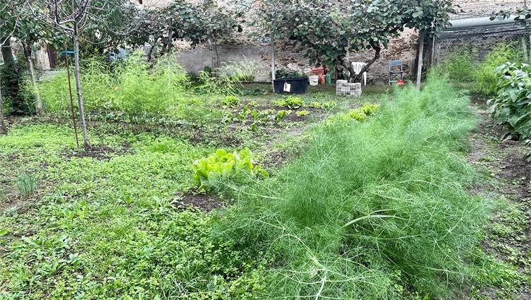 giardino