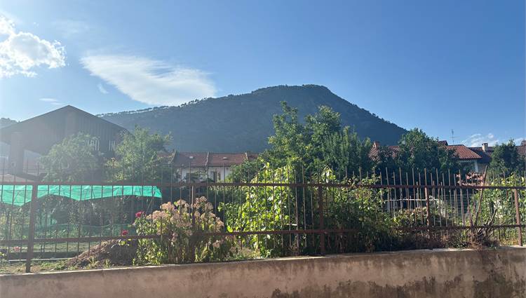 vista