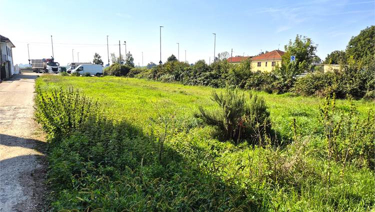 terreno 1